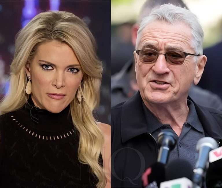 Breaking: Megyn Kelly Bluntly Calls Robert De Niro ‘Extremely Stupid’! G